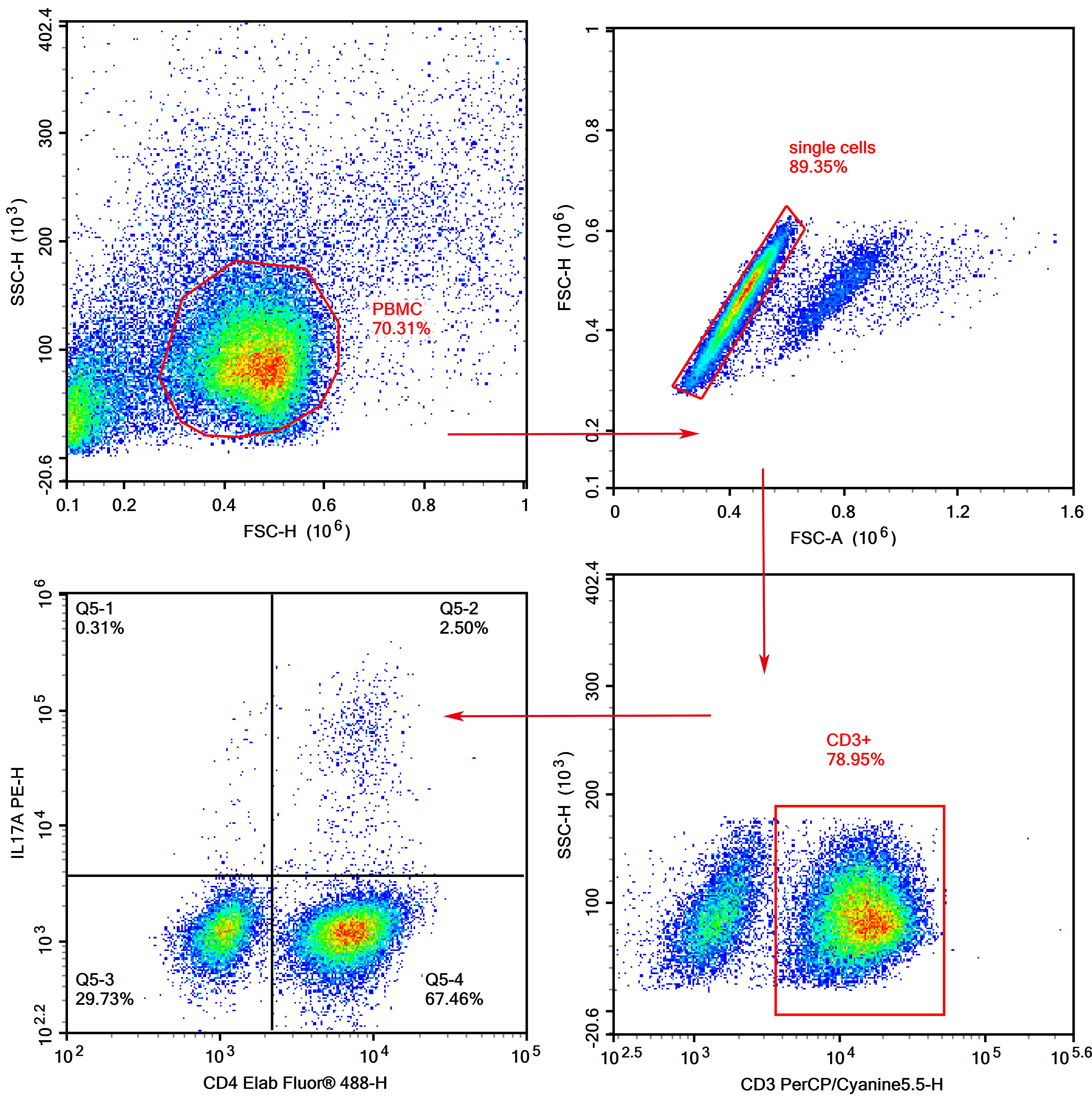 Detection of Th17 (3-color) in Human Peripheral Blood PBMC